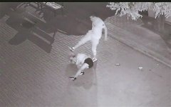 喝酒后打人、猥亵怎么处理？
