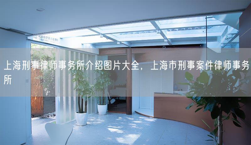 上海刑事律师事务所介绍图片大全，上海市刑事案件律师事务所(图1)