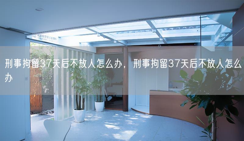 刑事拘留37天后不放人怎么办，刑事拘留37天后不放人怎么办(图1)