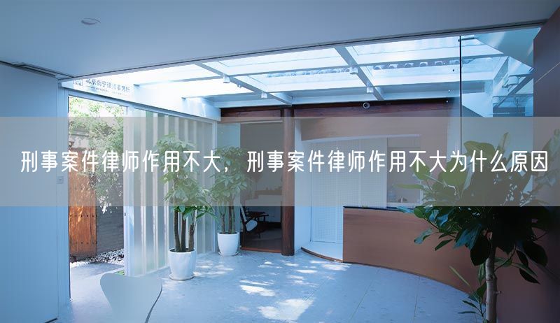 刑事案件律师作用不大，刑事案件律师作用不大为什么原因(图1)